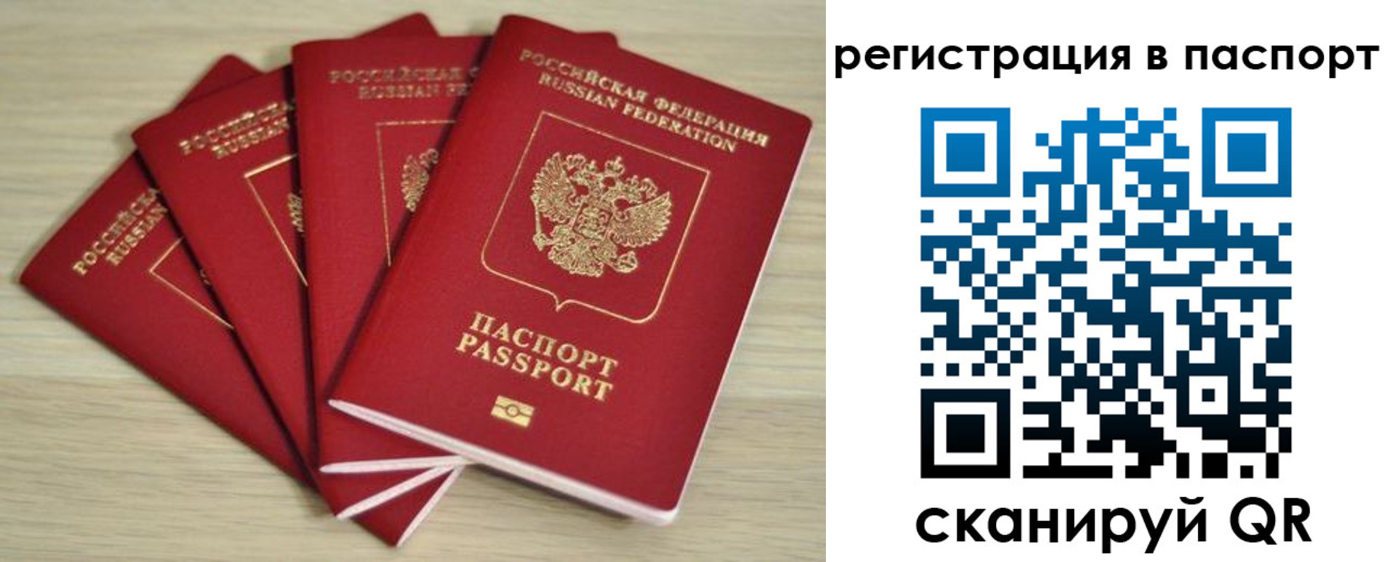 временная регистрация для школы в Дубне